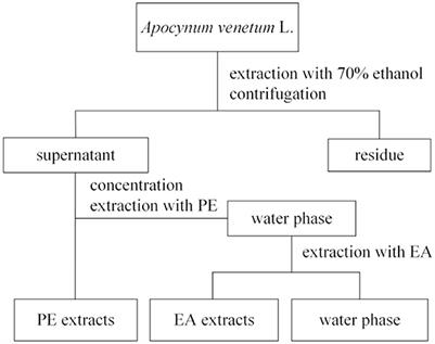 Solid-state fermentation of Apocynum venetum L. by Aspergillus niger: Effect on phenolic compounds, antioxidant activities and metabolic syndrome-associated enzymes